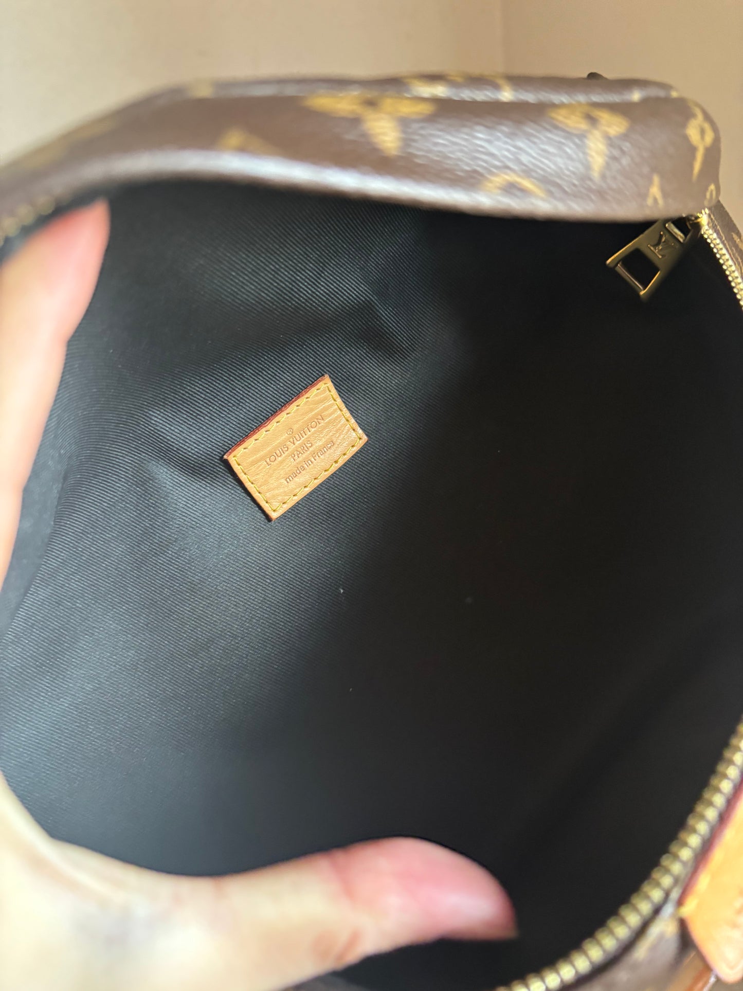 Louis Vuitton Monogram Bumbag