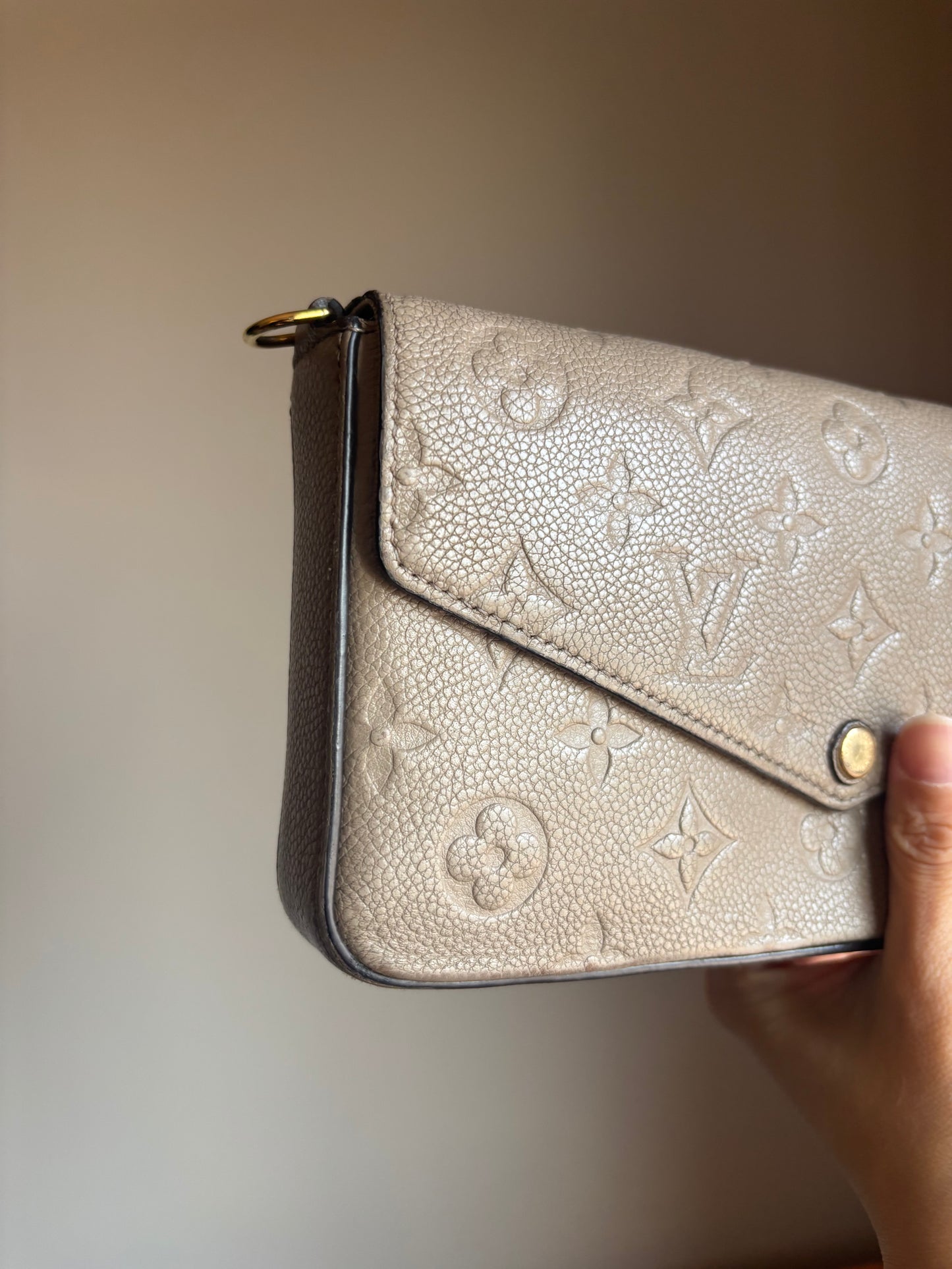 Louis Vuitton Turtle Dove Felicie Pochette