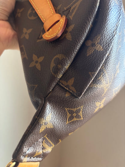 Louis Vuitton Monogram Bumbag