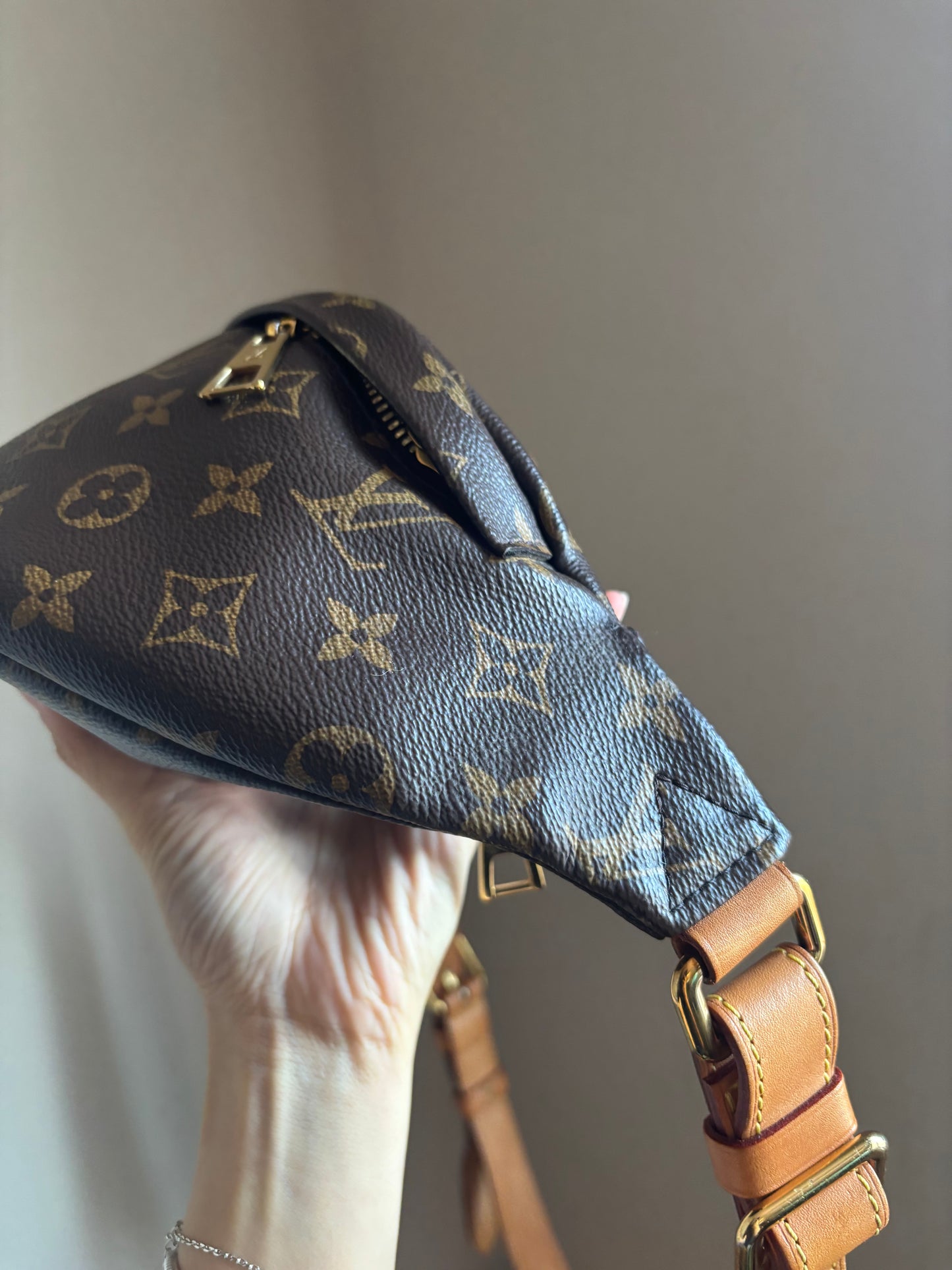 Louis Vuitton Monogram Bumbag
