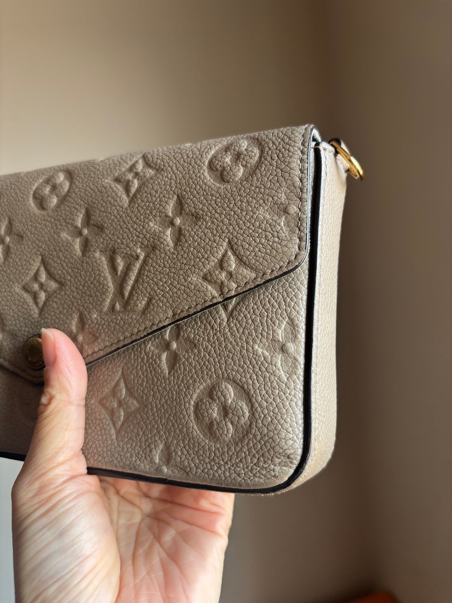 Louis Vuitton Turtle Dove Felicie Pochette