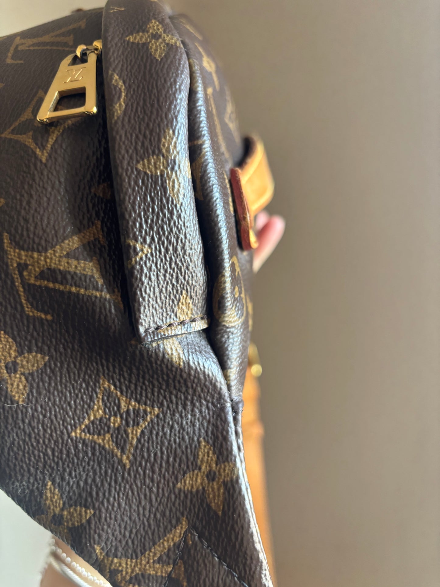 Louis Vuitton Monogram Bumbag