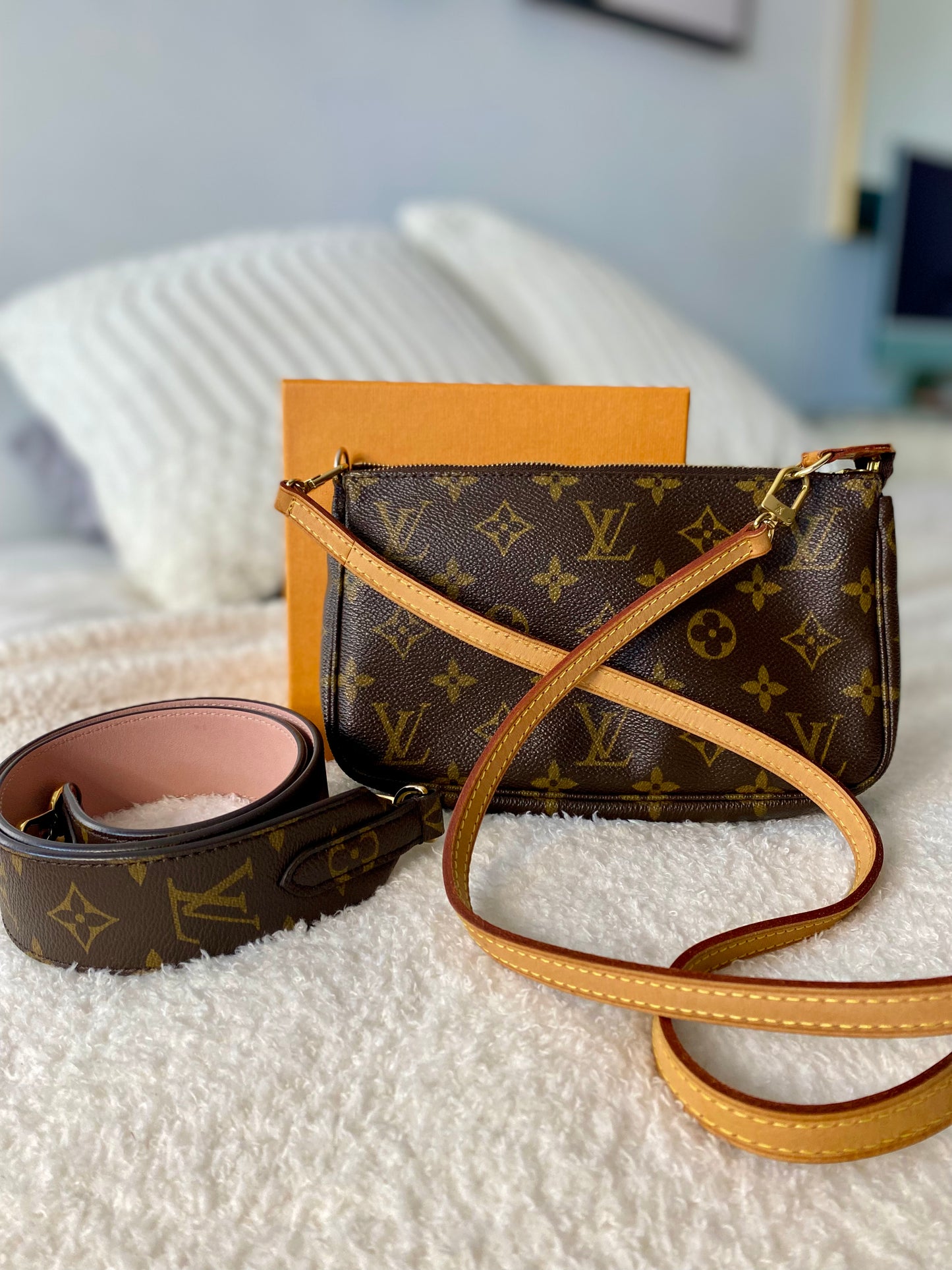 Louis Vuitton Pochette Accessories