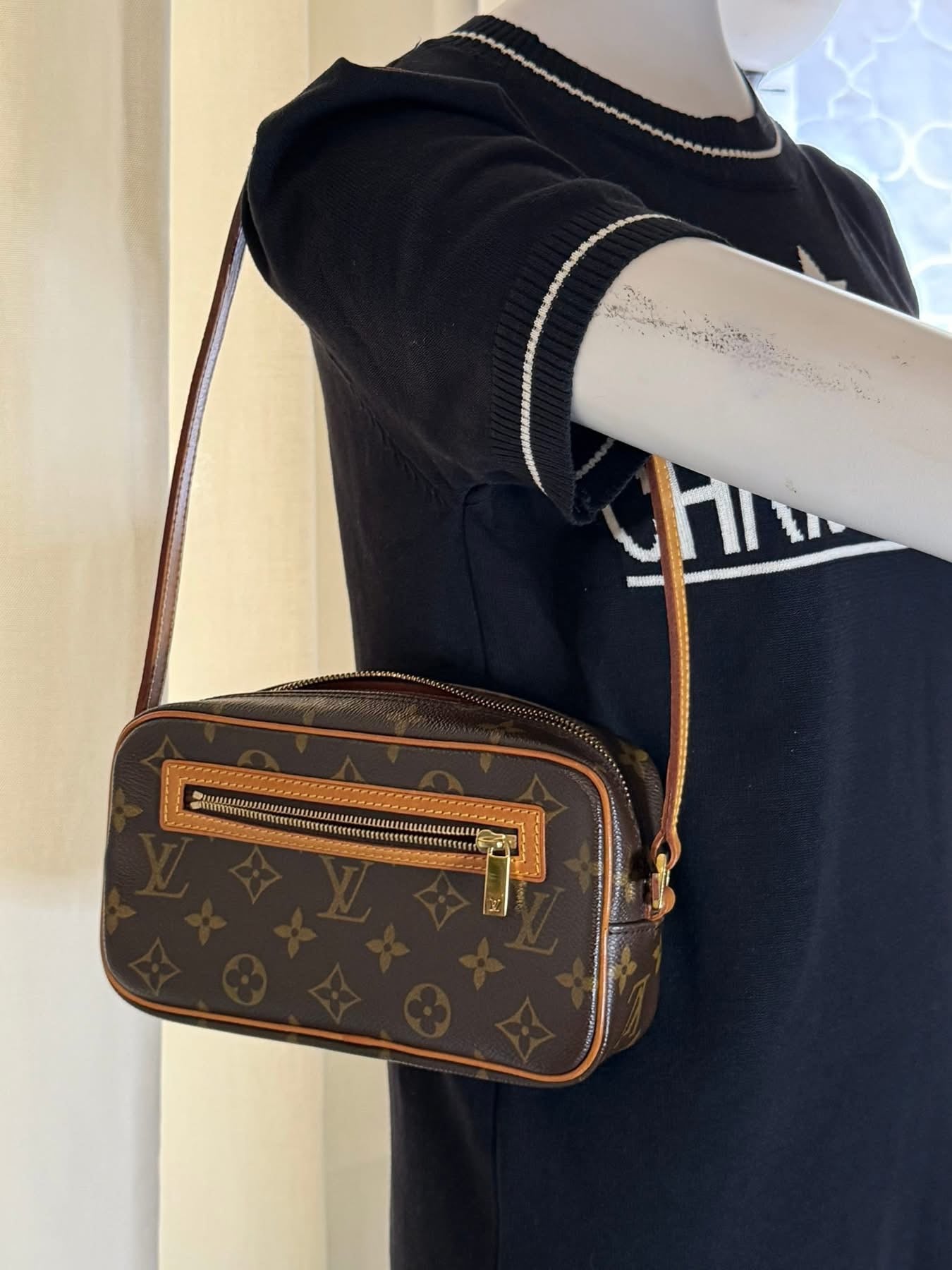 Louis Vuitton Monogram Cite Bag
