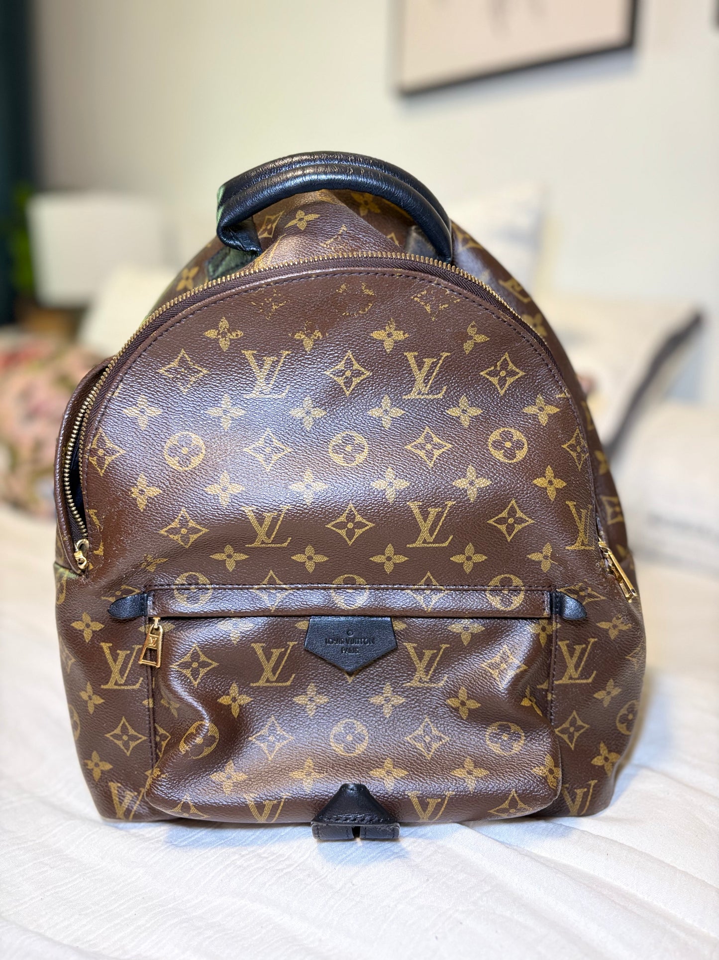 Louis Vuitton Palm Springs MM